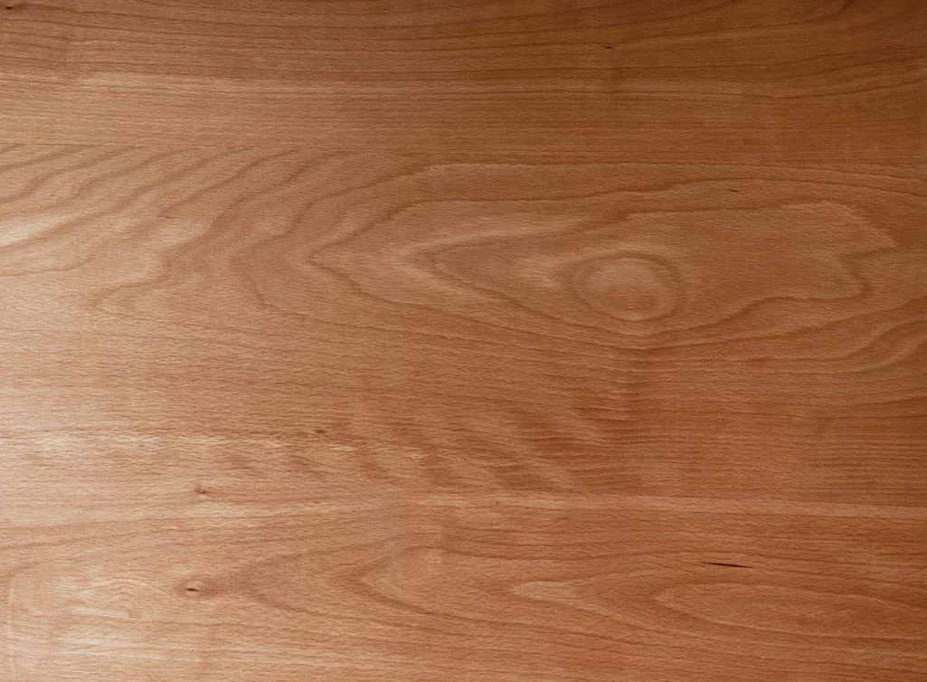 Massive Tischplatte Buche mit charakteristischen Waldkanten nach deinen Maßen