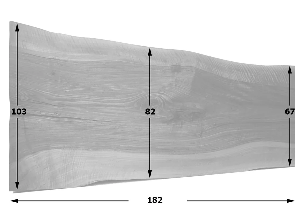 Baumscheibe Nussbaum Unikat 232 Skizze