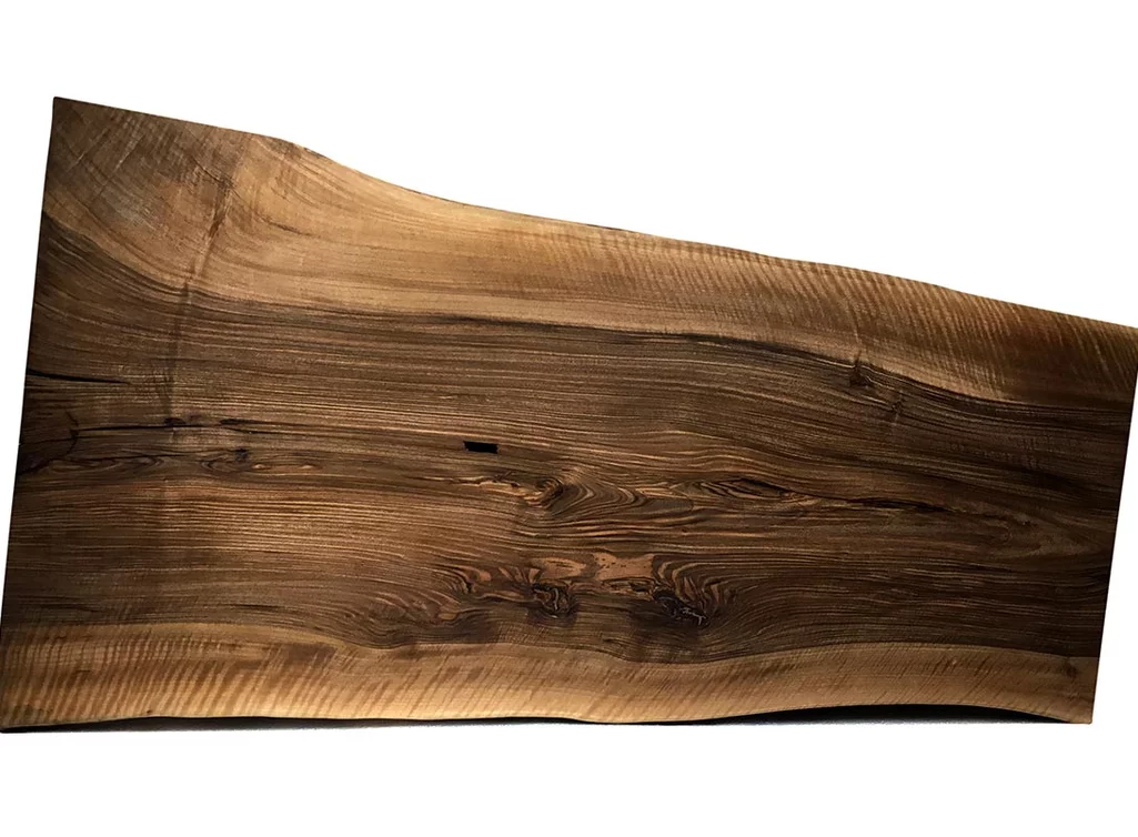 Baumscheibe Nussbaum Unikat 232 Seite 2