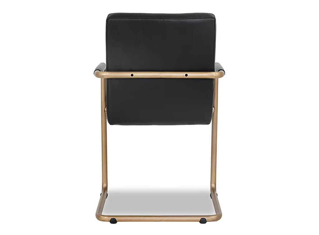 Lederfreischwinger mit einem Messing Gestell Ansicht hinten